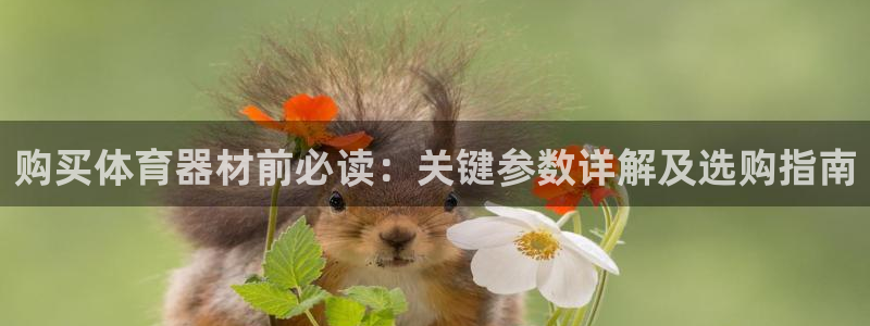 富联娱乐怎么样可靠吗：购买体育器材前必读：关键参数详