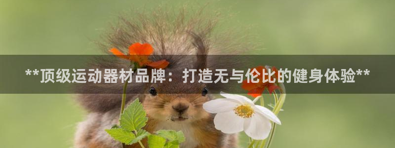 富联平台登录：**顶级运动器材品牌：打造无与伦比的健