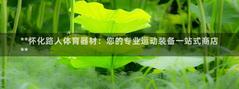 富联娱乐戚少风：**怀化路人体育器材：您的专业运动装