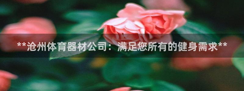 富联平台人 5O6917 富联：**沧州体育器材公司