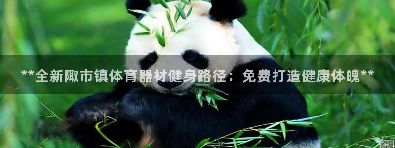 富联娱乐老板：**全新陬市镇体育器材健身路径：免费打
