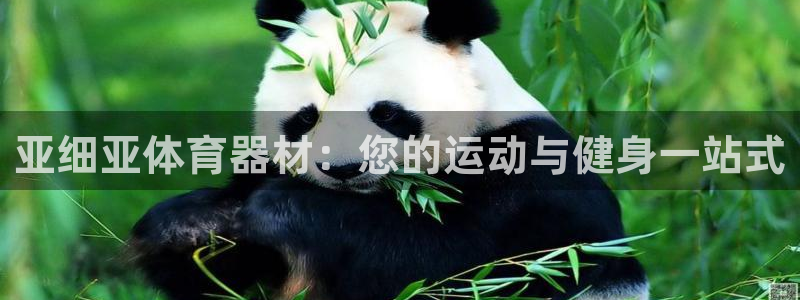 富联官方网站入口查询网址：亚细亚体育器材：您的运动与