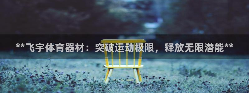 富联娱乐平台开户流程：**飞宇体育器材：突破运动极限
