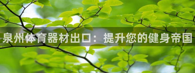 富联娱乐股东构成：泉州体育器材出口：提升您的健身帝国