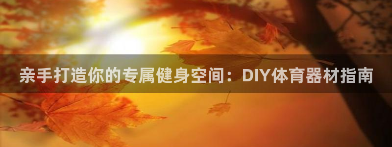 富联平台开户：亲手打造你的专属健身空间：DIY体育器