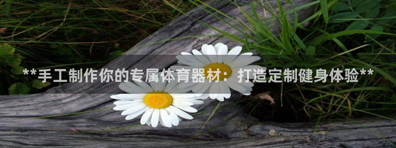 富联娱乐平台能挣到钱吗知乎：**手工制作你的专属体育