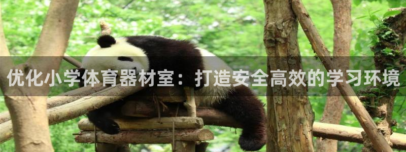富联娱乐合作 58534I 娱乐：优化小学体育器材室