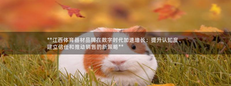 富联平台登录网址是什么：**江西体育器材品牌在数字时