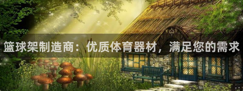 富联娱乐平台开户：篮球架制造商：优质体育器材，满足您