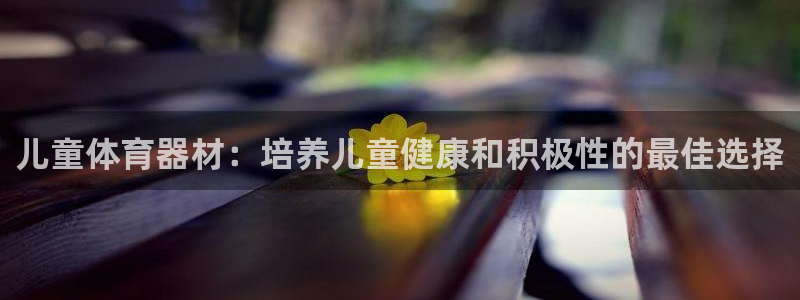 富联娱乐代理怎么做赚钱：儿童体育器材：培养儿童健康和