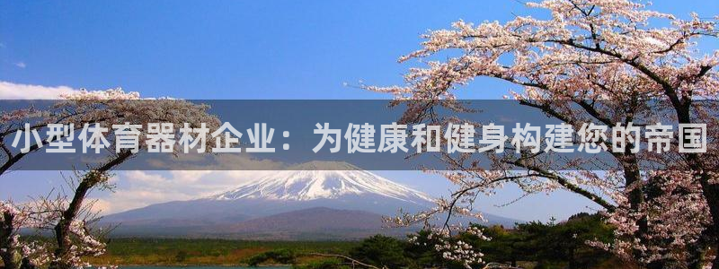 富联平台微信怎么注销：小型体育器材企业：为健康和健身