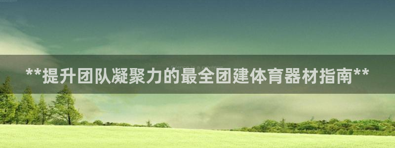富联娱乐：**提升团队凝聚力的最全团建体育器材指南*
