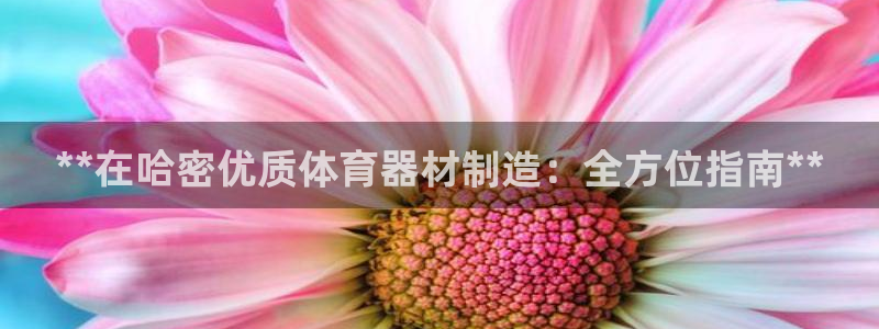 富联平台登录网址是什么：**在哈密优质体育器材制造：