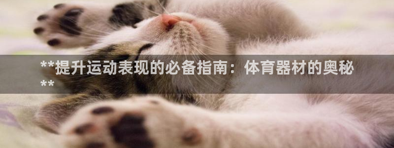 富联平台开户条件：**提升运动表现的必备指南：体育器
