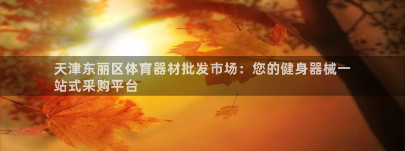 富联平台地址是什么：天津东丽区体育器材批发市场：您的