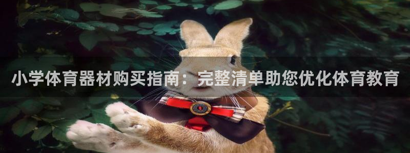 富联平台荐 585341：小学体育器材购买指南：完整