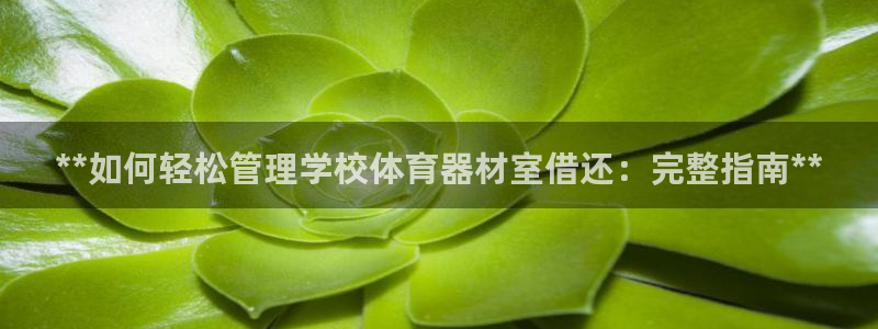 富联申购什么时候开盘：**如何轻松管理学校体育器材室借还：完