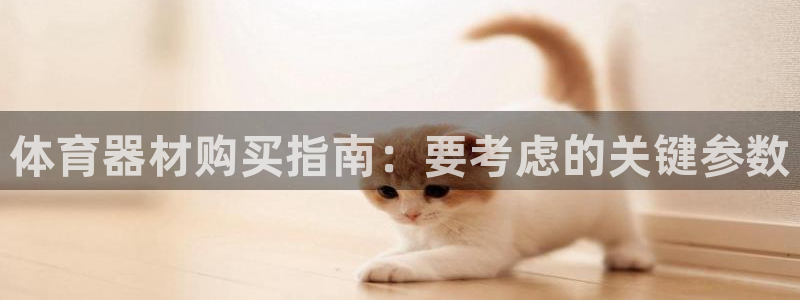 富联娱乐测速怎么样：体育器材购买指南：要考虑的关键参