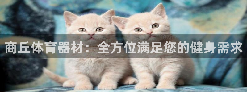 富联娱乐乙6.7.5.1.3.8：商丘体育器材：全方
