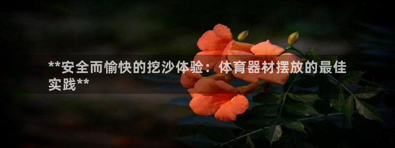 富联平台登录注册流程：**安全而愉快的挖沙体验：体育