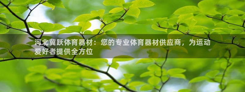 富联平台原 3.7.oo.7.3.5：河北冀跃体育器