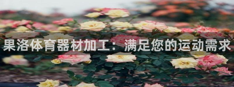 富联工坊：果洛体育器材加工：满足您的运动需求