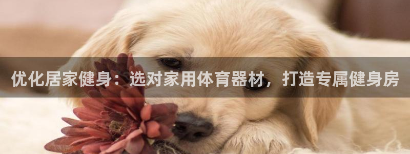富联官网注册不了账号怎么办：优化居家健身：选对家用体
