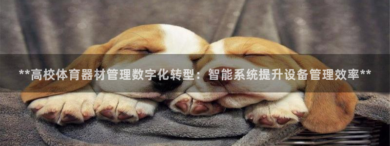 富联娱乐官方网站：**高校体育器材管理数字化转型：智