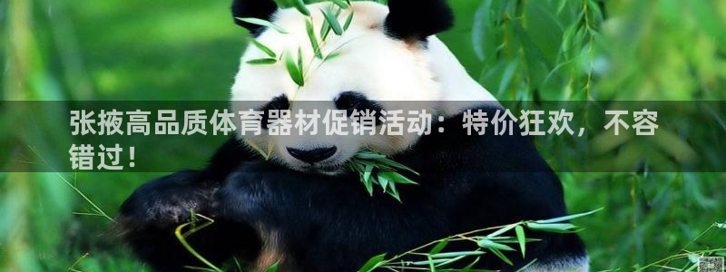 富联是什么意思网络用语：张掖高品质体育器材促销活动：