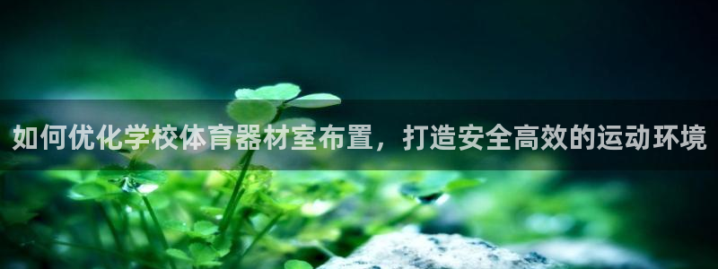 富联平台地址查询：如何优化学校体育器材室布置，打造安