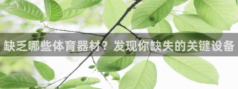 富联娱乐测速地址是什么：缺乏哪些体育器材？发现你缺失