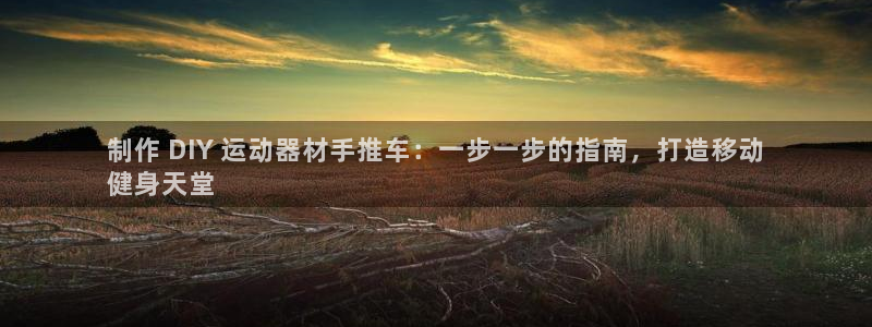 富联平台线路检测中心电话：制作 DIY 运动器材手推