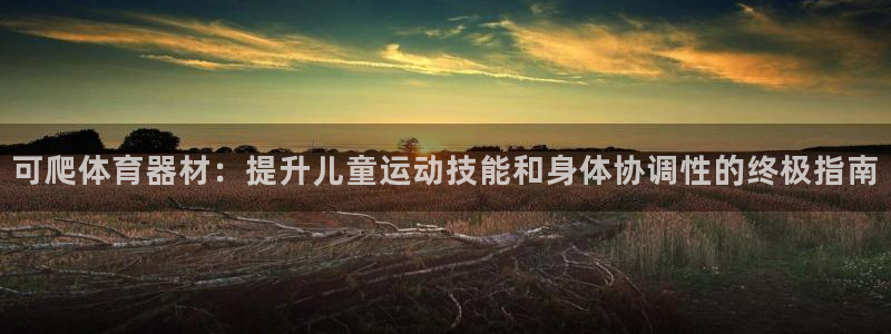 富联娱乐平台开户流程图：可爬体育器材：提升儿童运动技