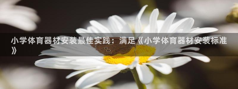 富联集团董事长：小学体育器材安装最佳实践：满足《小学