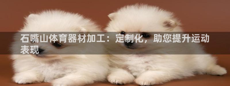 富联集团做什么的：石嘴山体育器材加工：定制化，助您提