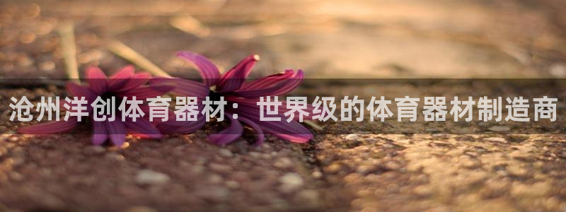 富联娱乐正规吗安全吗：沧州洋创体育器材：世界级的体育