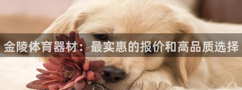 富联什么意思：金陵体育器材：最实惠的报价和高品质选择