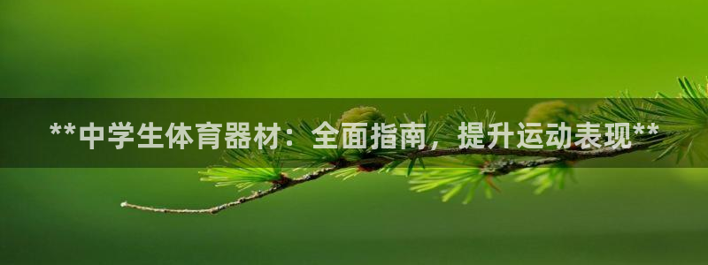 富联官网登陆网址：**中学生体育器材：全面指南，提升