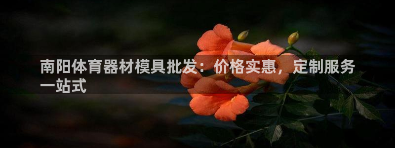 富联官方网站入口网址是多少：南阳体育器材模具批发：价