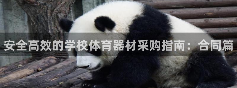 富联娱乐玩法机制：安全高效的学校体育器材采购指南：合