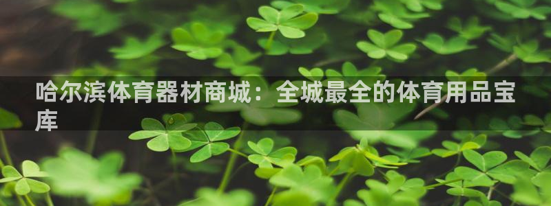 富联娱乐代理怎么做的：哈尔滨体育器材商城：全城最全的