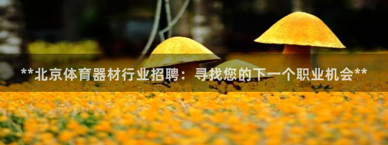 富联娱乐登录注册流程：**北京体育器材行业招聘：寻找