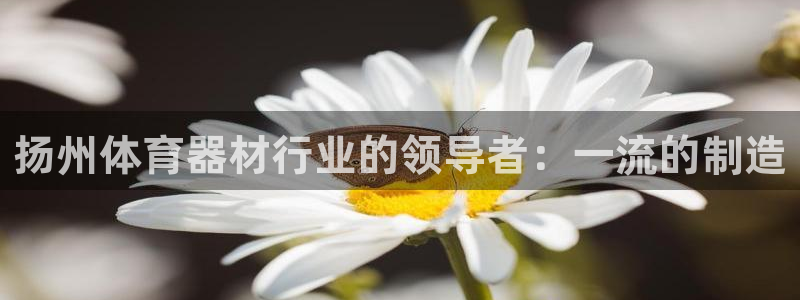 富联娱乐官方网站首页登录：扬州体育器材行业的领导者：