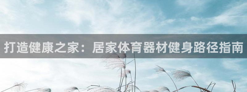 富联娱乐总代理是谁：打造健康之家：居家体育器材健身路