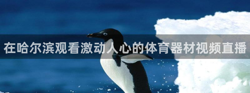 富联娱乐军7O777：在哈尔滨观看激动人心的体育器材