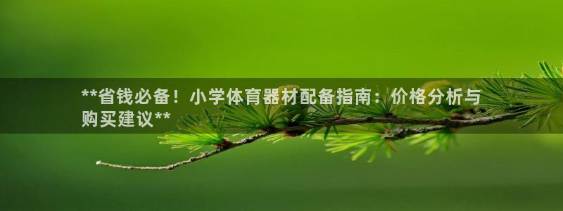 富联平台主管：**省钱必备！小学体育器材配备指南：价