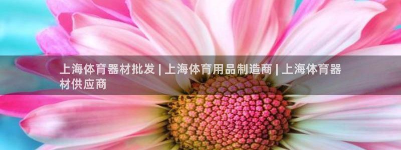 富联娱乐测速app：上海体育器材批发 | 上海体育用