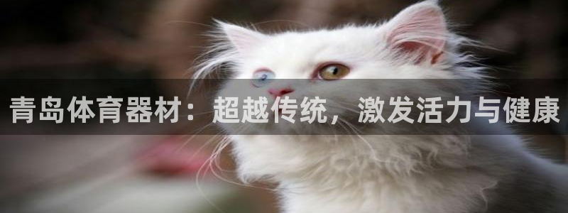 富联娱乐按7O777：青岛体育器材：超越传统，激发活