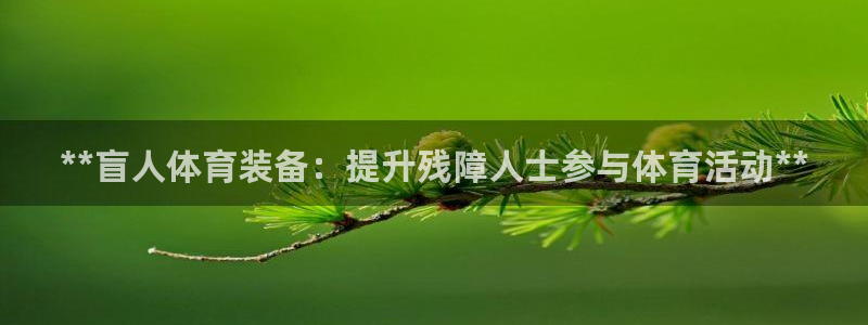 富联股份股票代码：**盲人体育装备：提升残障人士参与