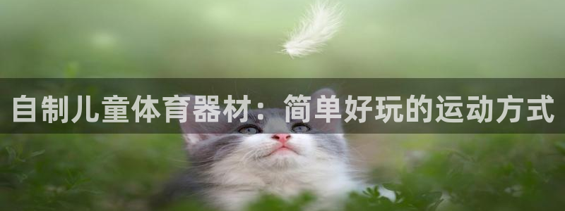 富联平台注册地址是哪里：自制儿童体育器材：简单好玩的